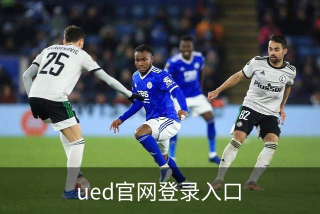 ued官网登录入口公司介绍图片